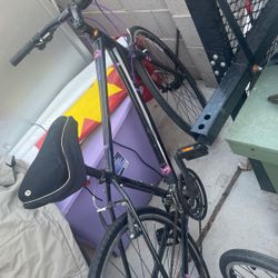 Liv Bicycles By Giant