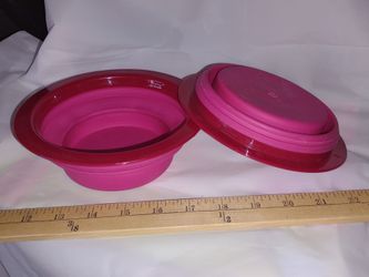 Free Dog Or Cat Collapsible Bowls