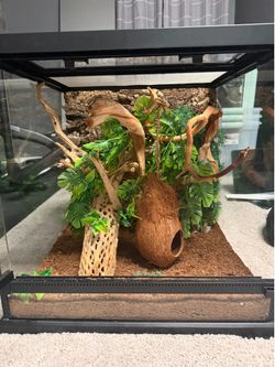 reptile cage
