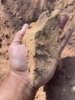 Sandy loam sand