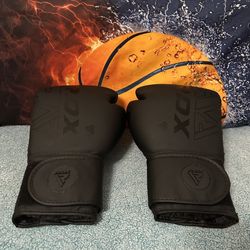 Boxing Gloves by RDX  12oz