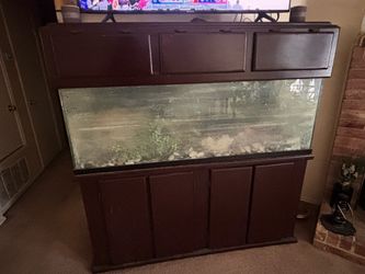 Aquarium with wood frame