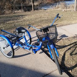 Schwinn Adult Tricycle