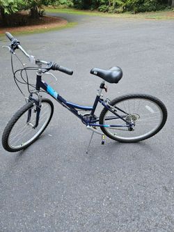 Nishiki Bicycle