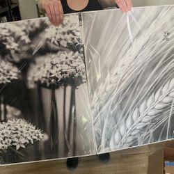 3 Posters