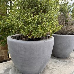 Jackson Pottery Large Plant Pots 