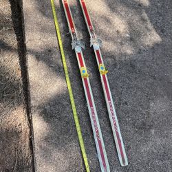 Fischer Cross Country Skis ( For Decor)
