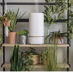 IRIS USA WOOZOO Ultrasonic Humidifier - Cool Mist 3L Water Tank, Bedroom Baby Nursery, Adjustable Mist Level, Night Light Function, Whisper Quiet, Run