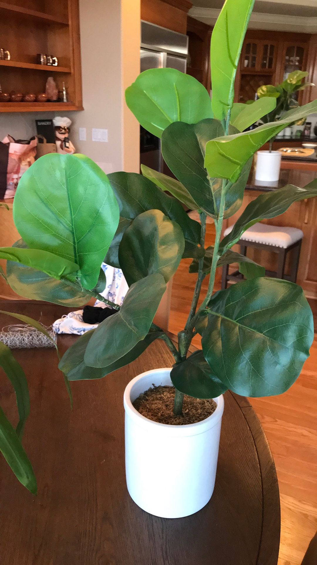 Fake Plant In Beautiful Ceramic Pot