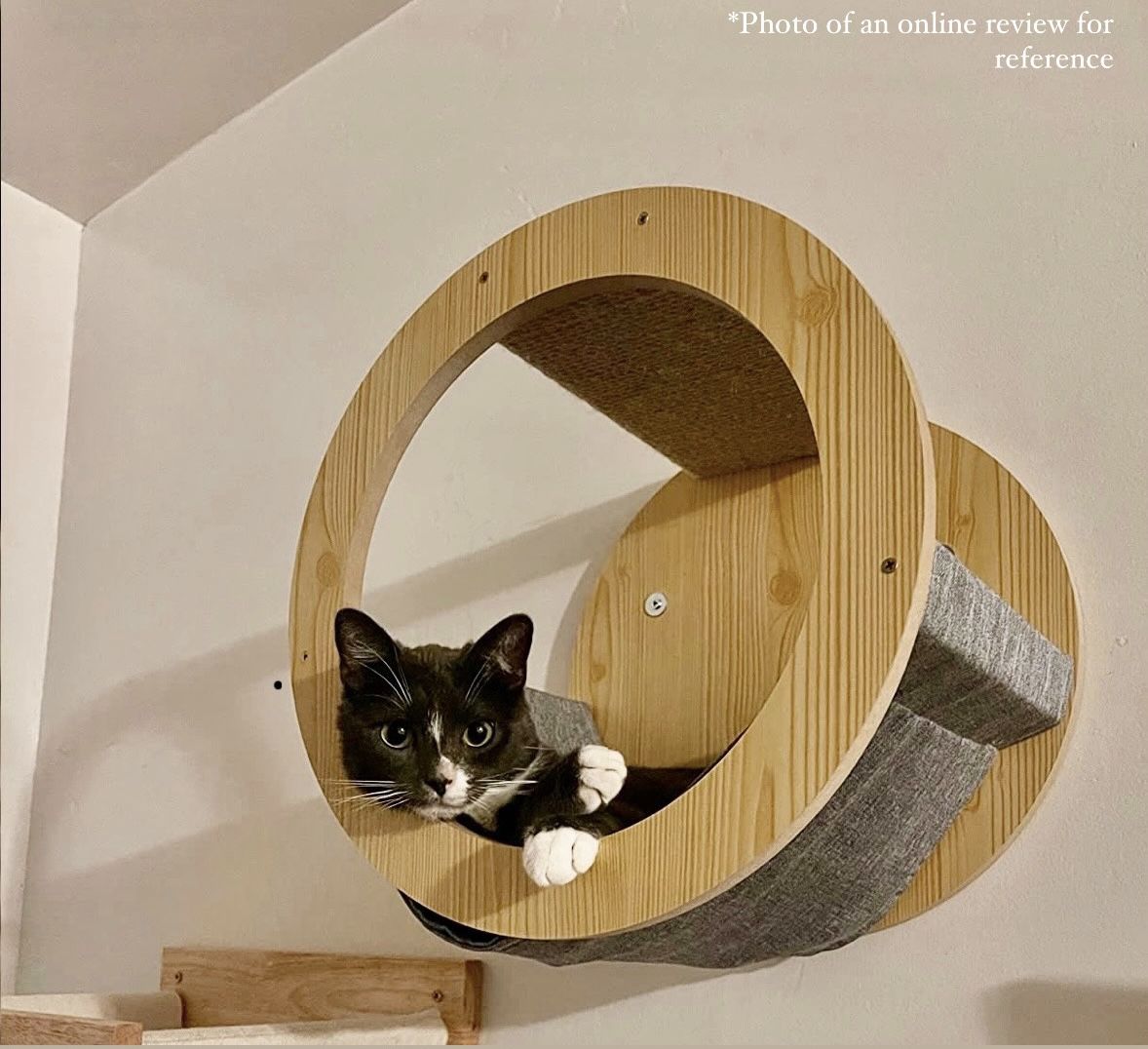 Cat Hammock Wall Perch *PENDING SALE*