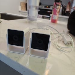 Pet Cameras