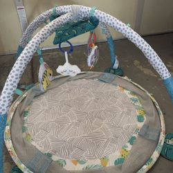 Baby Play Mat