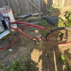 Beach Cruiser 