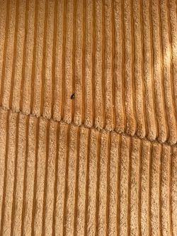 Lg sofa