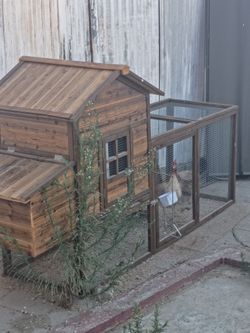 Small chicken coop