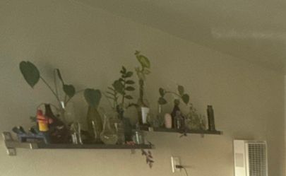 Two Shelves