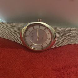Women SKAGEN  STEEL  Wrist Watch 