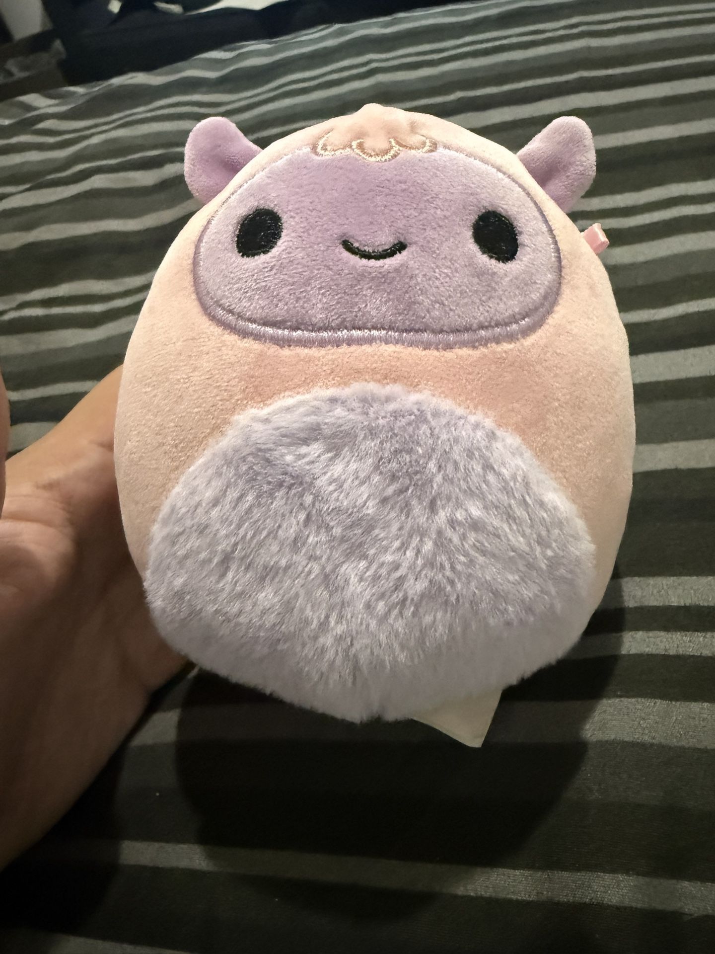 Squishmallows 5" Ronalda the Yeti Preowned