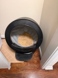 Litter robot cat