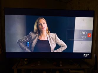 Large Flat Screen TV