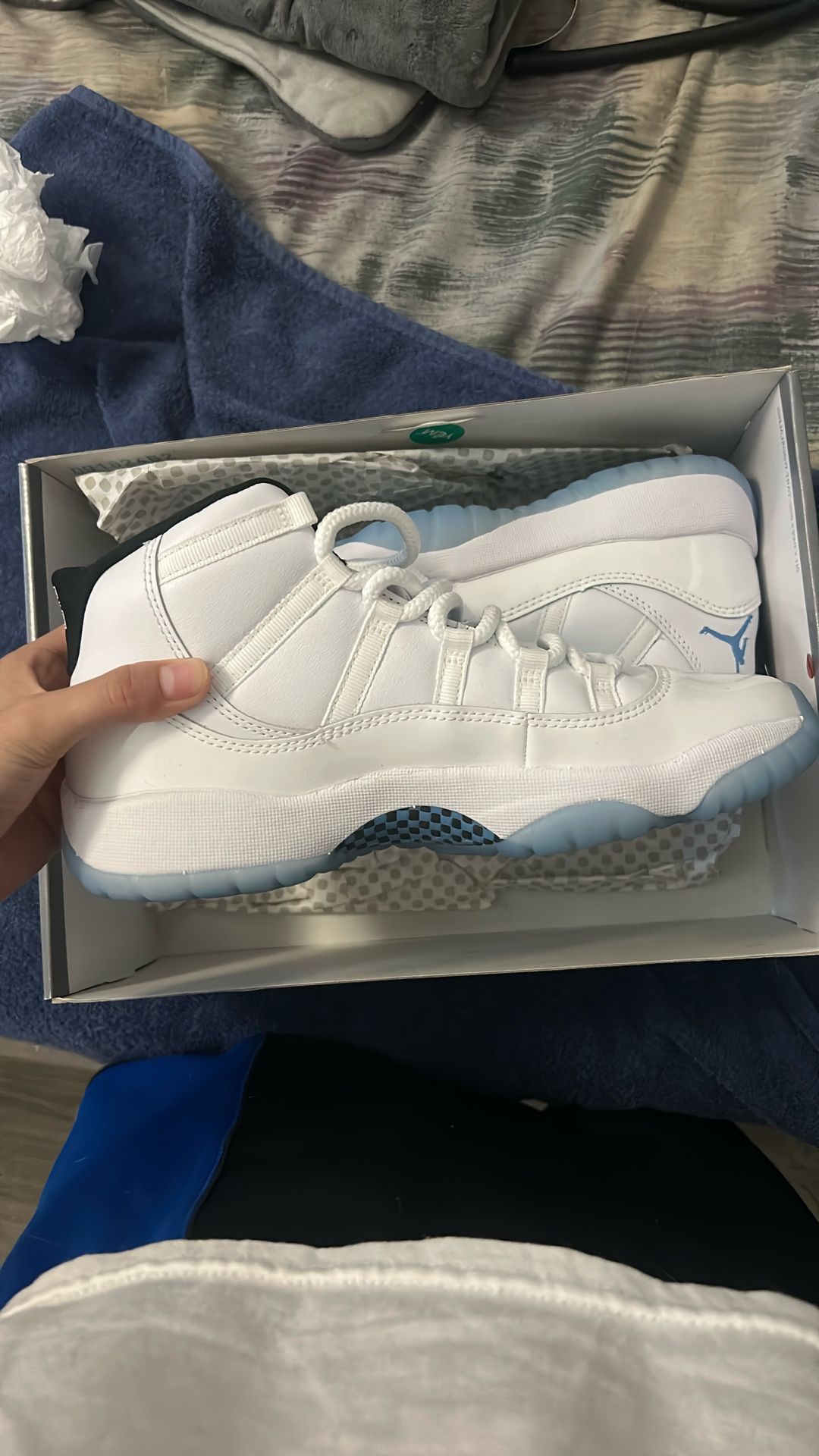 Jordan 11 Retro Gs