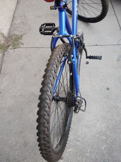 Great divide magna mountain bike 24inch ( 75 bucks )