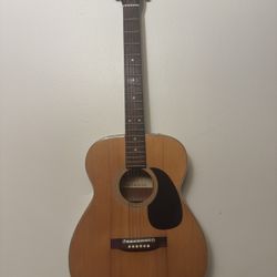 Carlos Guitar