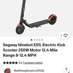 Segway Ninebot ES1L Electric Kick Scooter