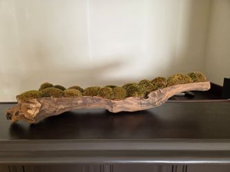Wooden Moss Vase