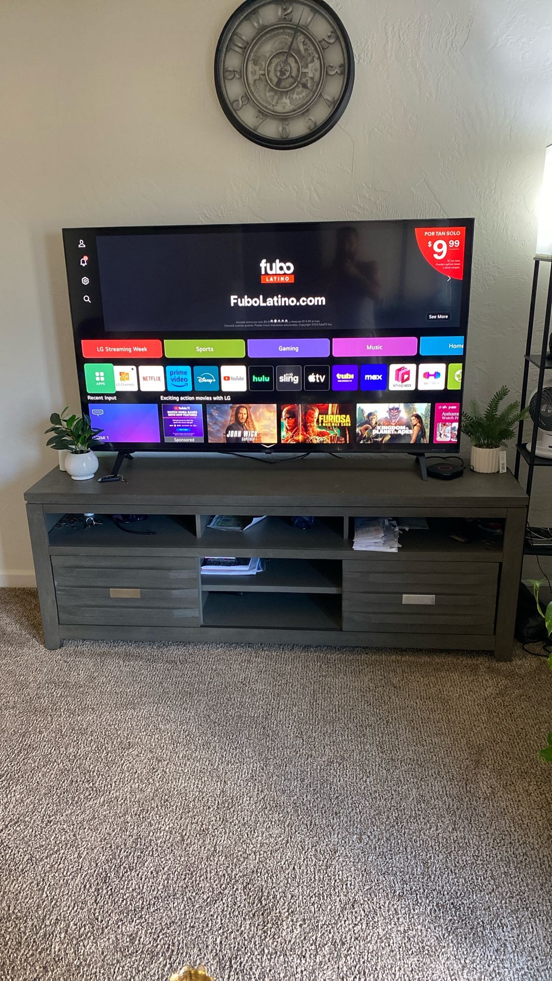 TV / Tv Stand