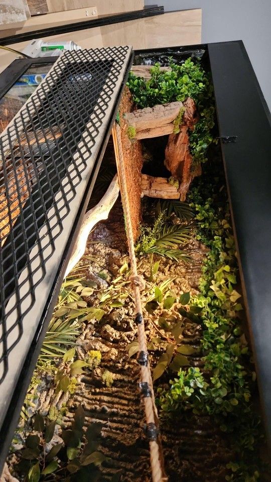 Terranium Custom Made