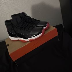 Air Jordan 11 Breds 19” 