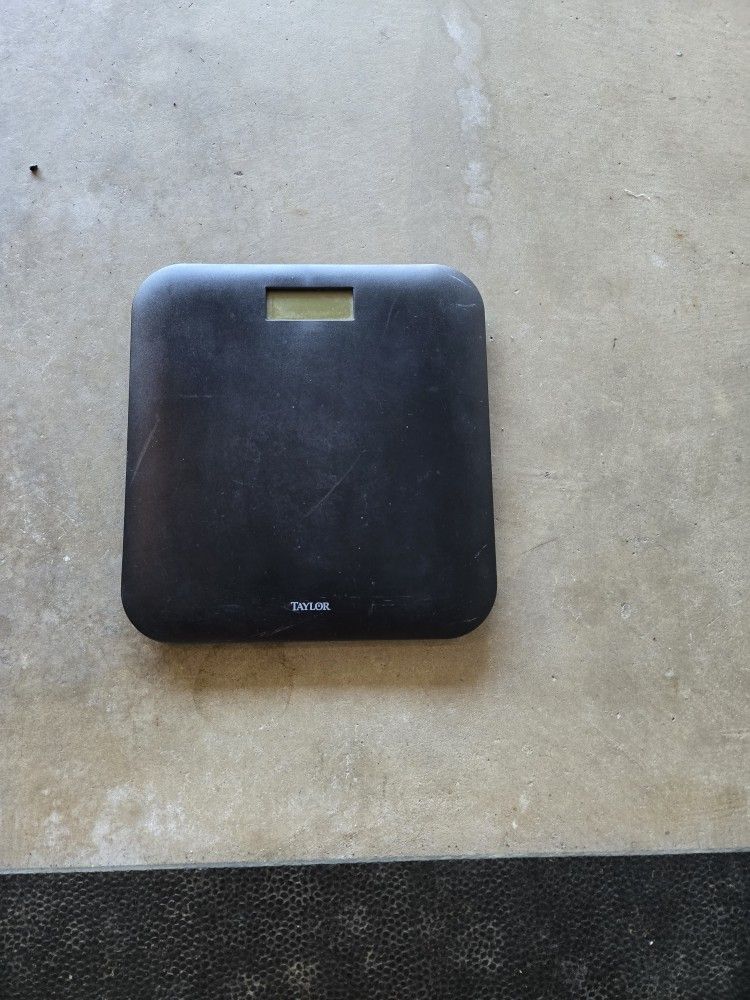Taylor Weight Scale
