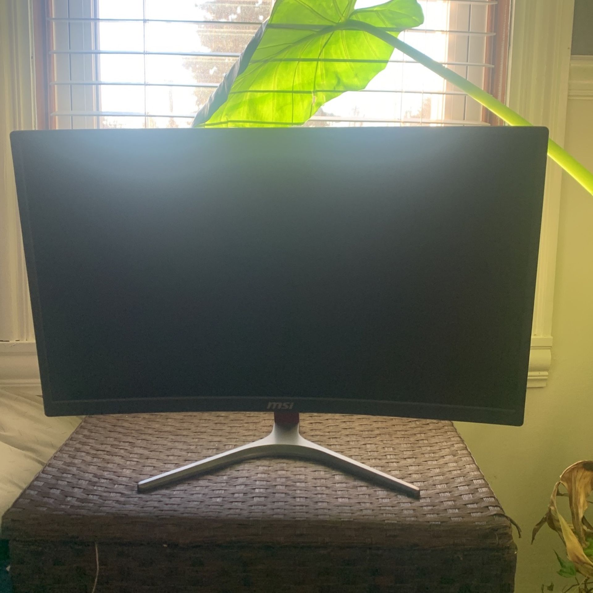 Msi Monitor