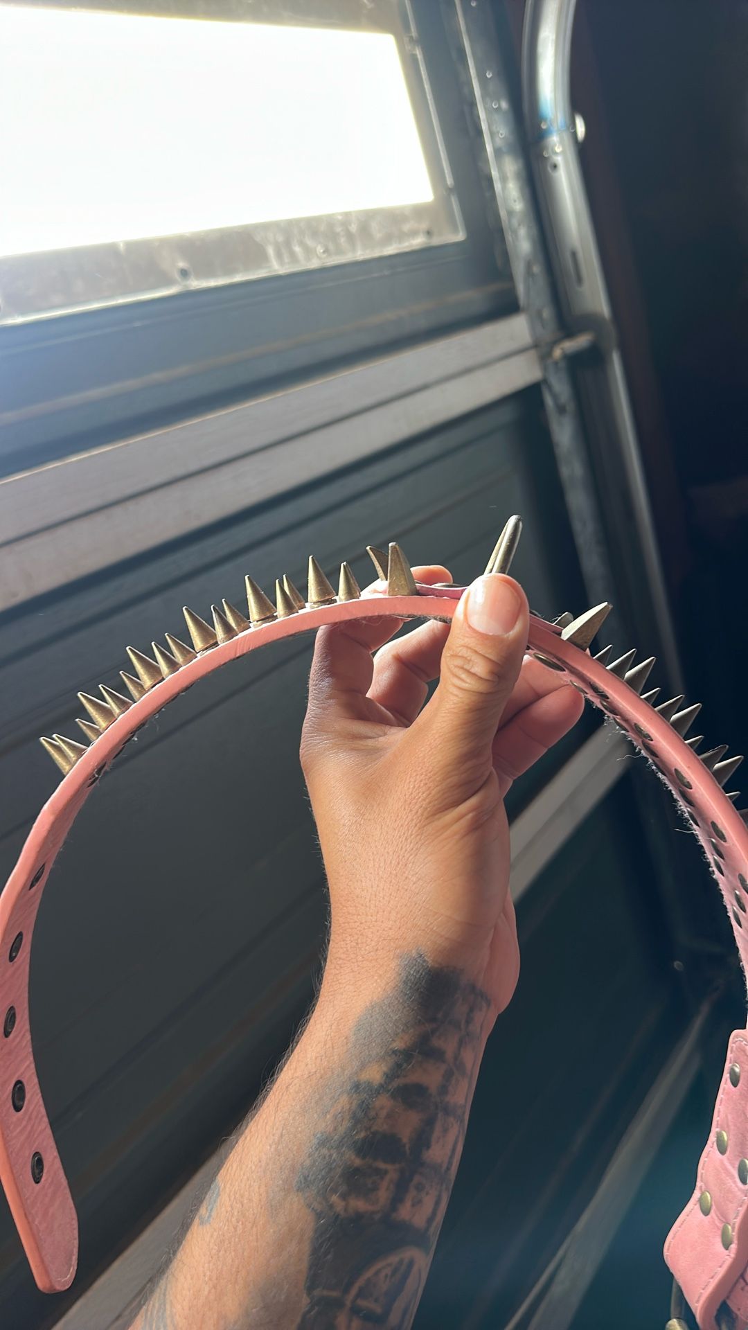 Dog Collar Spiked