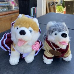 Plush Toys Huskies Male And Female 