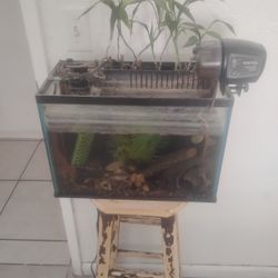 Fishtank 