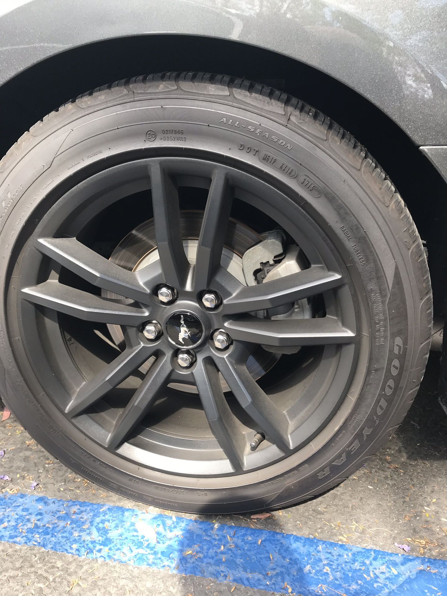 Ford Mustang Premium Rims/Tires