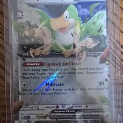 Squawkabilly Misscut