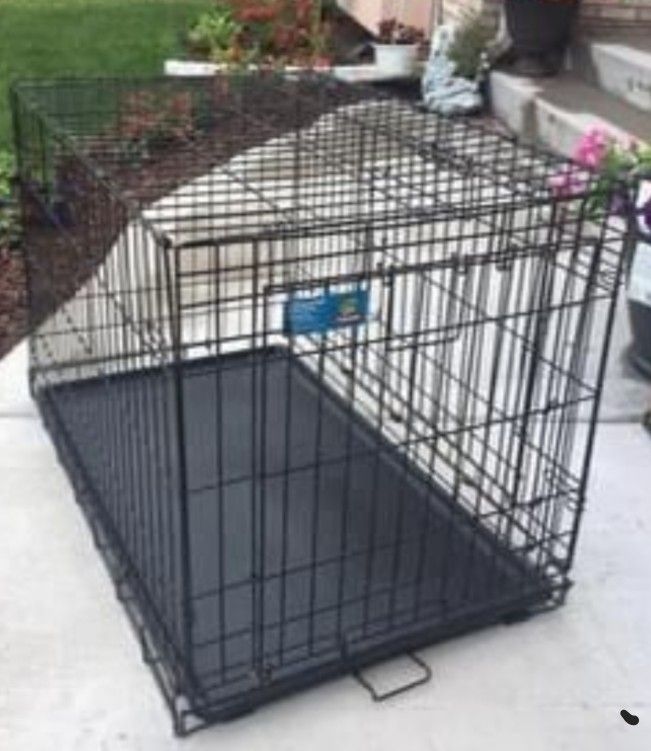 Lager Dog Carte For Sell Like New