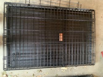 Midwest For Large Breeds Single Door