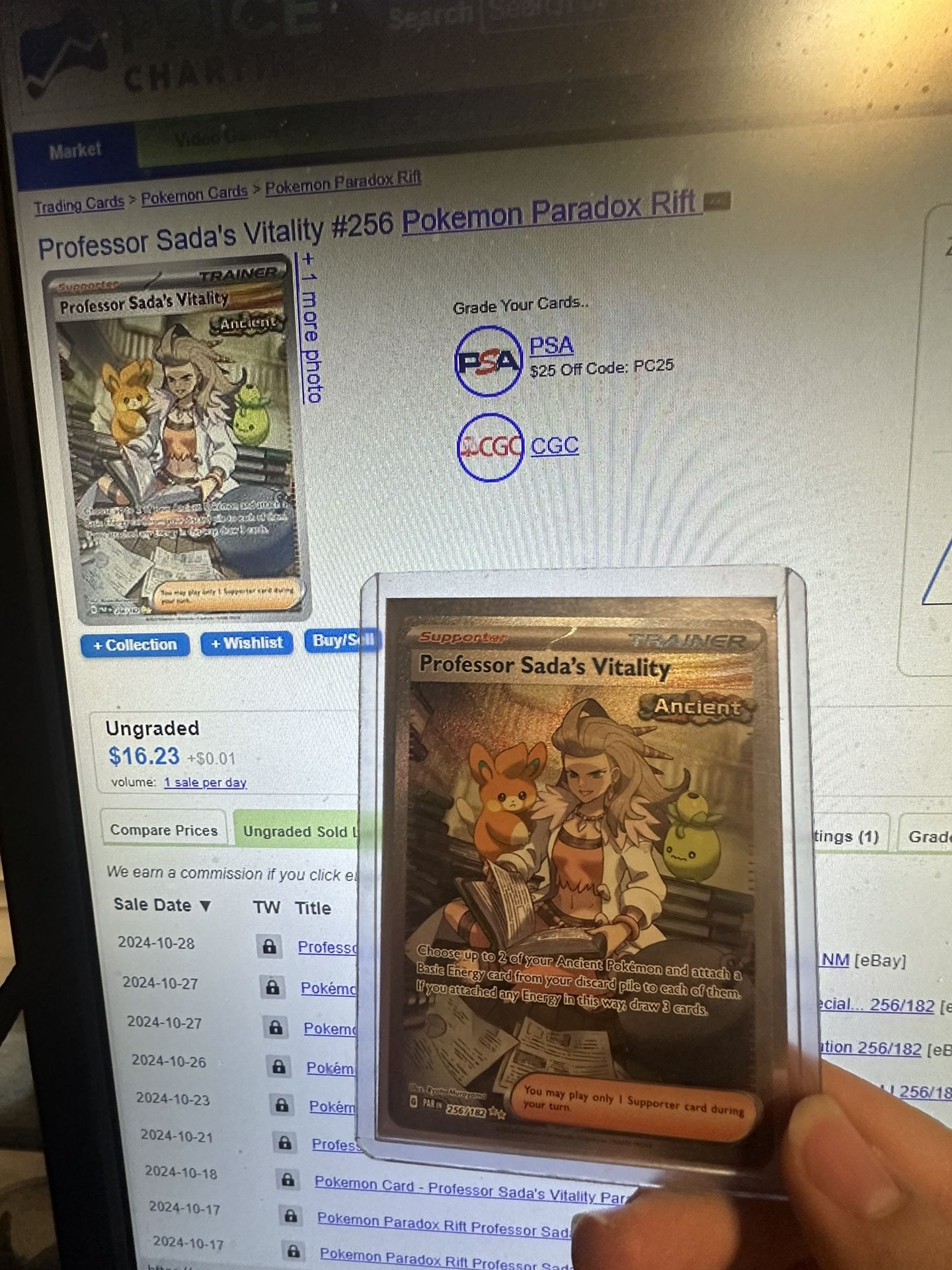 Pokemon Professor Sada’s Vitality