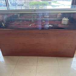 Pokemon or MLB trading card or Jewelry display case for Sale