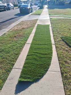 ARTIFICIAL GRASS