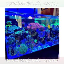 eat imagine Premium-Grade Aquarium Setup - Top-Level Quality Choice
