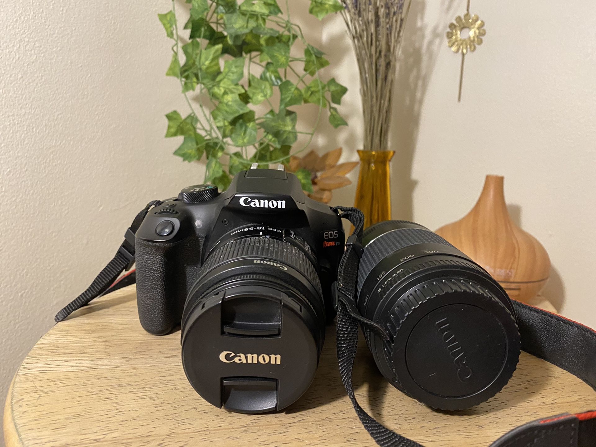 Canon Rebel T6 (2 lenses & camera case)