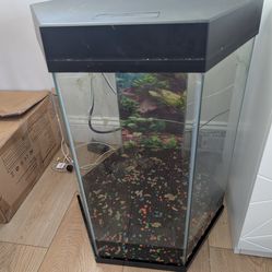 20 gallon Octagon tank