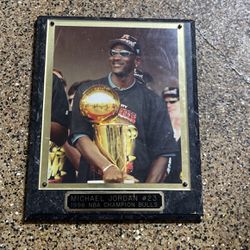 Michael Jordan 1996 NBA Champion Bulls