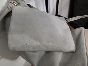 Danielle Nicole purse