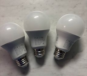 Orein A19 LED Light Bulbs – Set of 3
